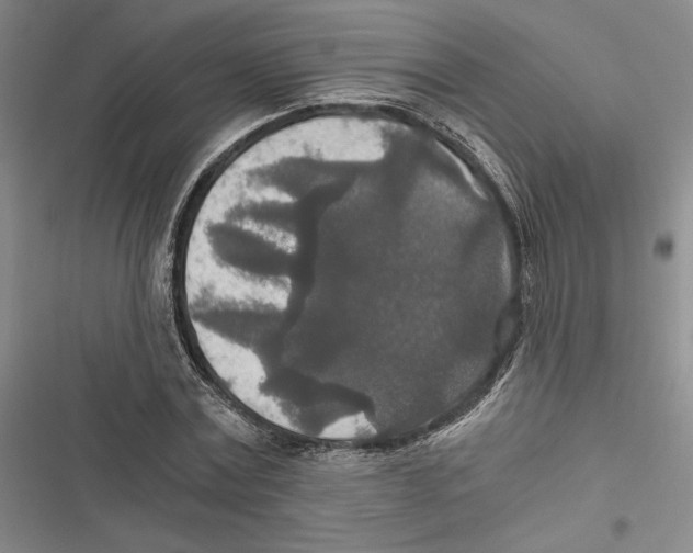 X0000116860779201001191701