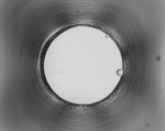 X0000116860780201001191701