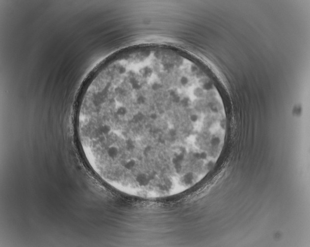 X0000116860783201001191701