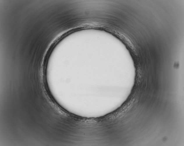 X0000116860784201001191701