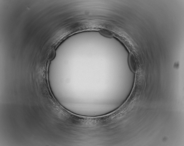 X0000116860785201001191701