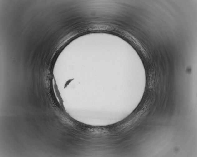 X0000116860786201001191701