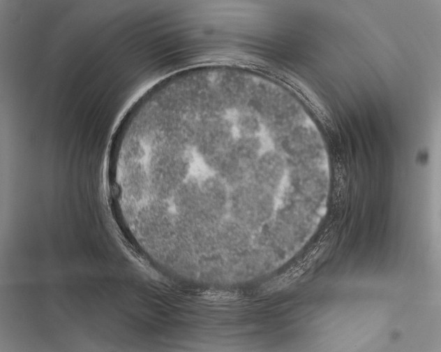 X0000116860788201001191701