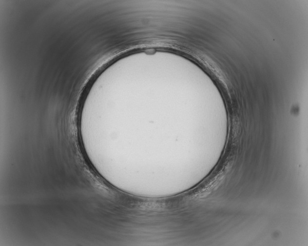 X0000116860789201001191701