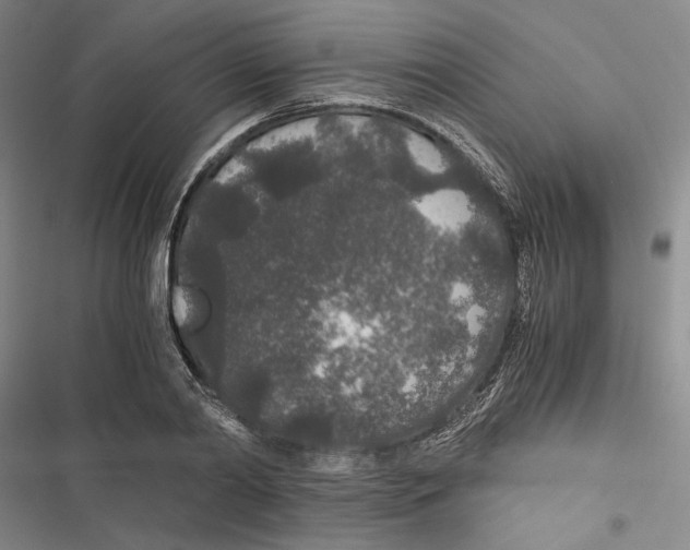 X0000116860790201001191701