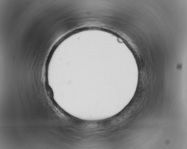 X0000116860791201001191701