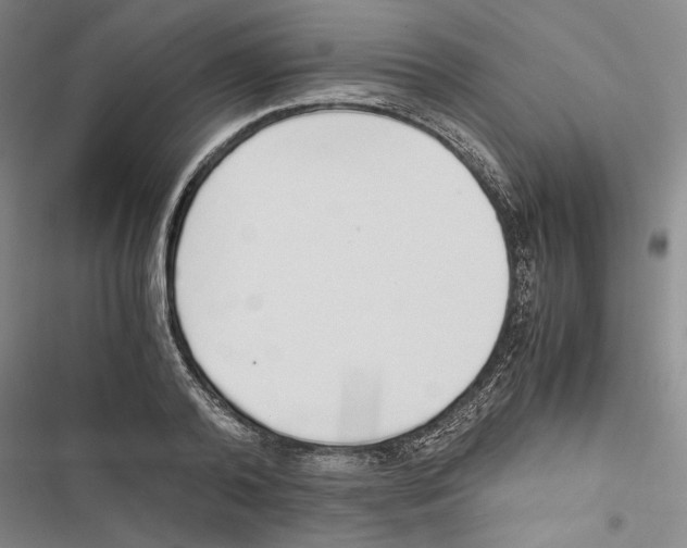 X0000116860792201001191701