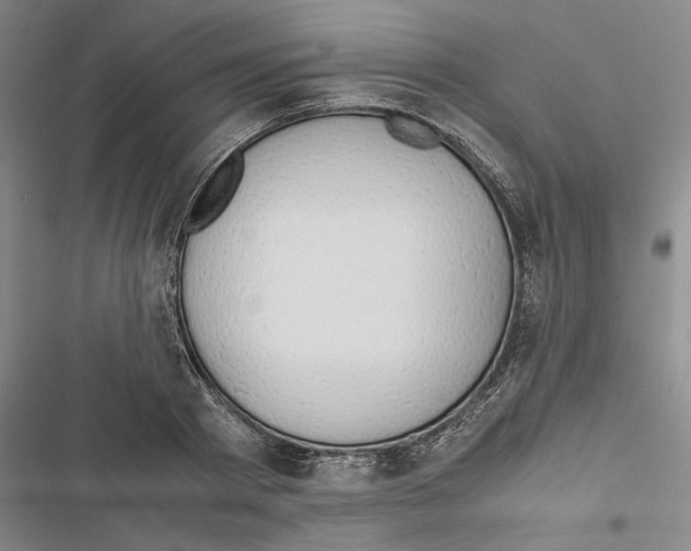 X0000116860793201001191701