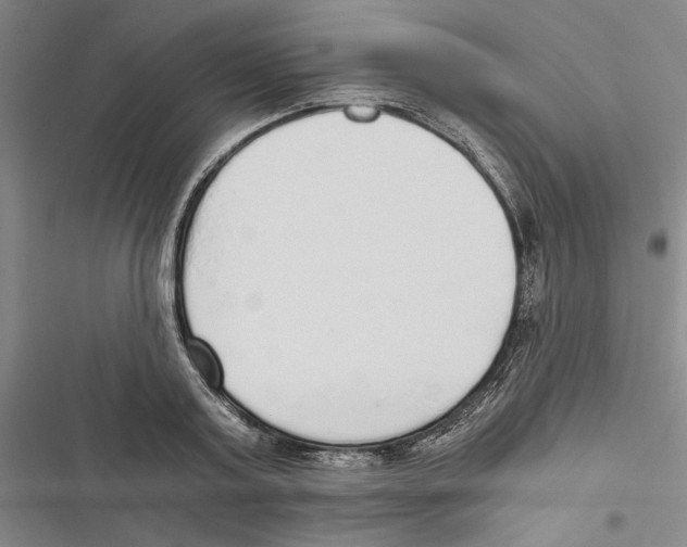 X0000116860795201001191700