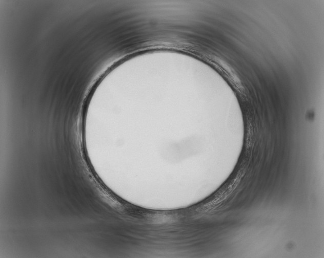 X0000116860796201001191700