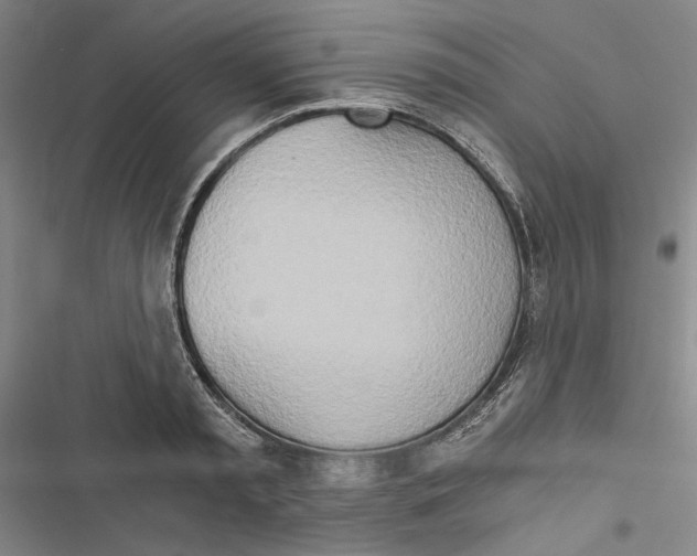 X0000116860797201001191700