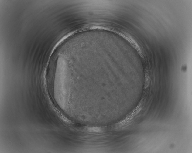 X0000116860798201001191700