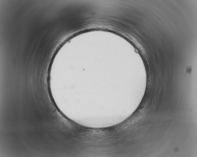 X0000116860799201001191700