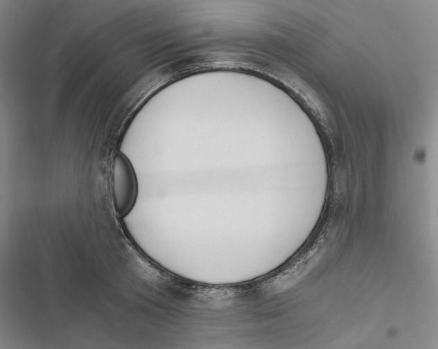 X0000116860801201001191700