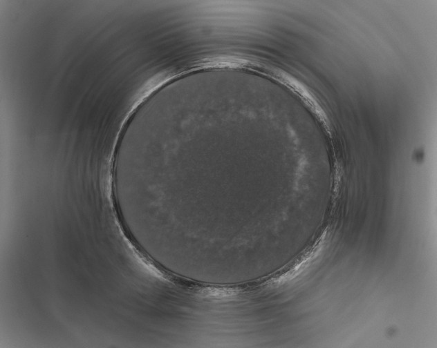 X0000116860802201001191700