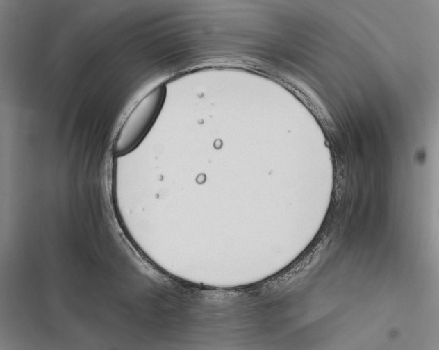 X0000116860804201001191700