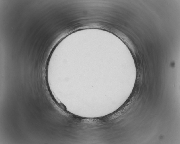 X0000116860805201001191700