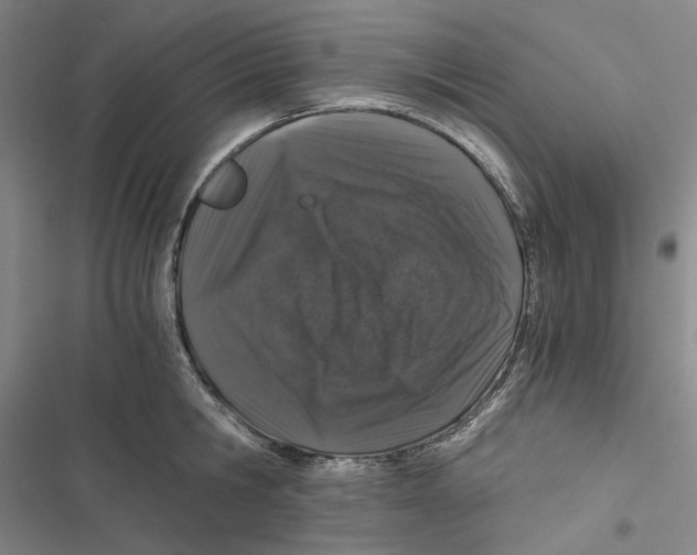 X0000116860806201001191700