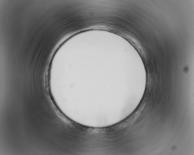 X0000116860808201001191700