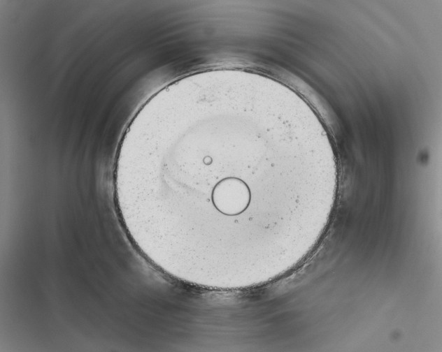 X0000116860810201001191700