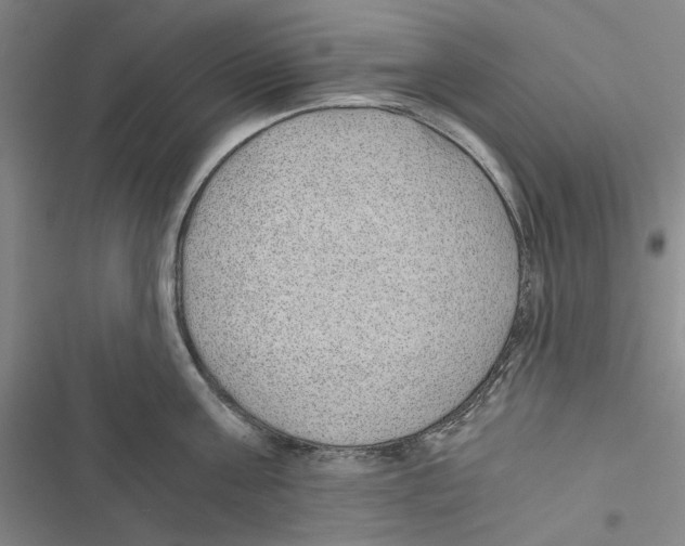 X0000116860811201001191700