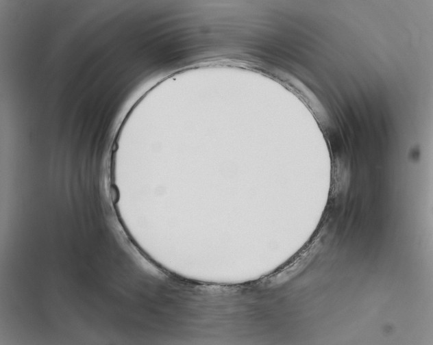 X0000116860812201001191700