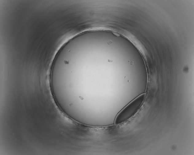 X0000116860813201001191700