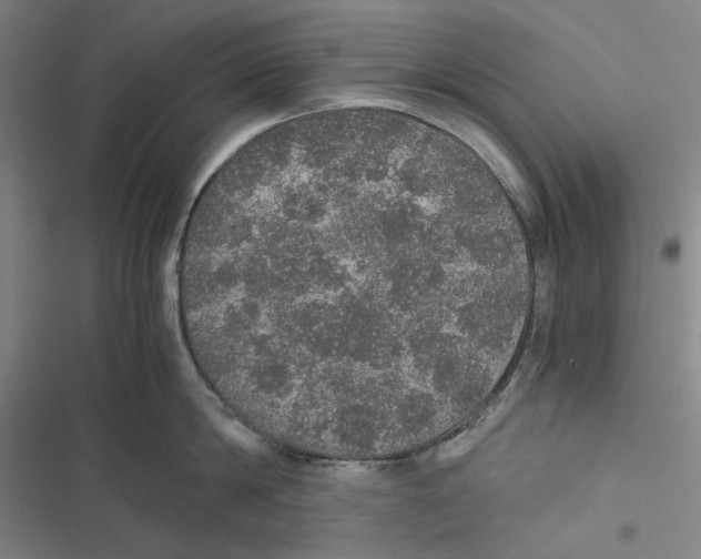 X0000116860814201001191700