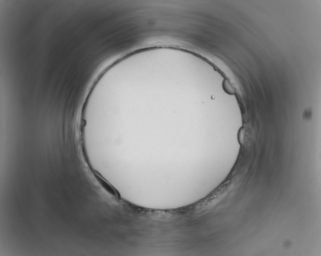 X0000116860815201001191700