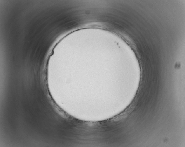 X0000116860816201001191700