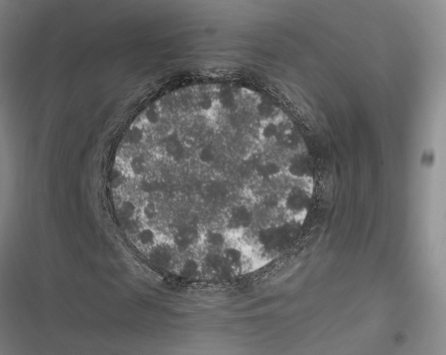 X0000116860817201001191700