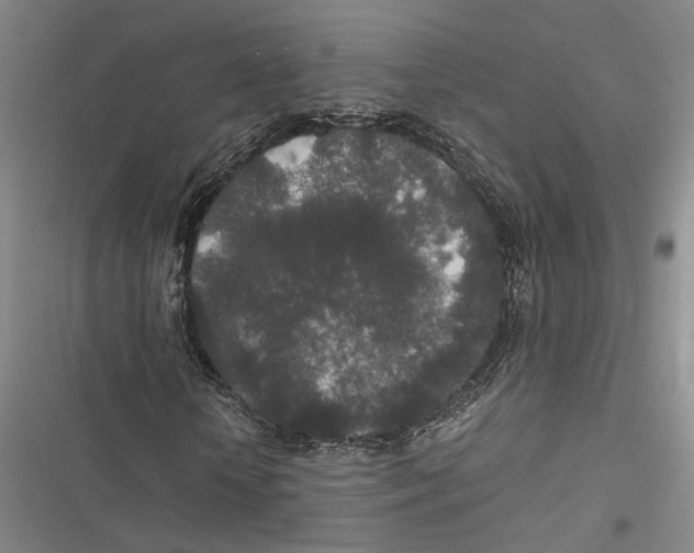 X0000116860818201001191700