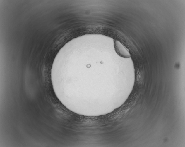 X0000116860819201001191700