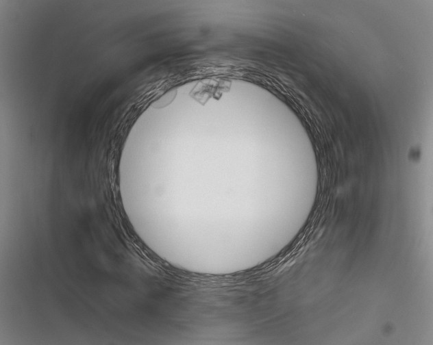 X0000116860820201001191700