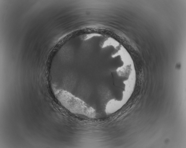 X0000116860822201001191700