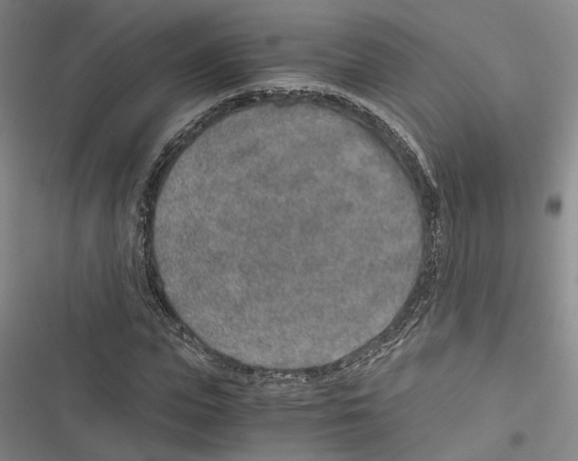 X0000116860823201001191700