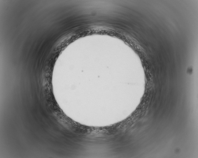 X0000116860824201001191700