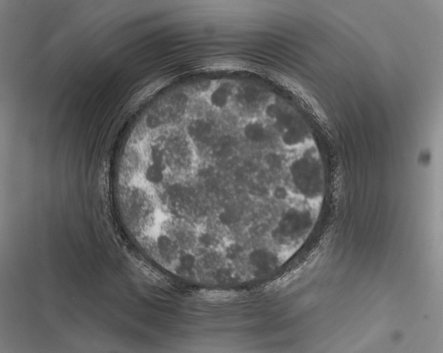 X0000116860825201001191700