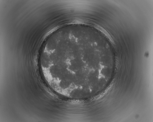 X0000116860826201001191700