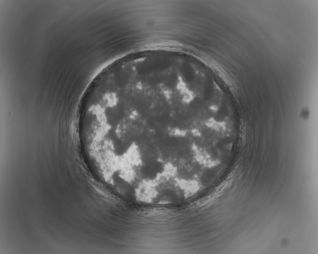 X0000116860830201001191700