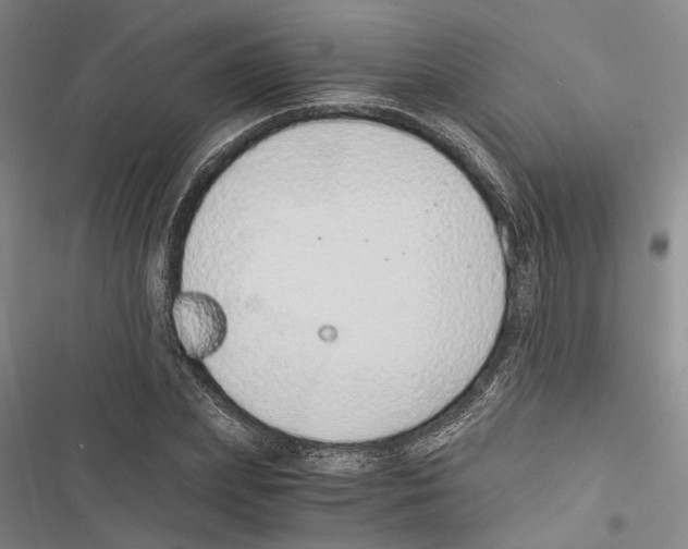 X0000116860831201001191700