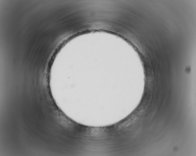 X0000116860832201001191700