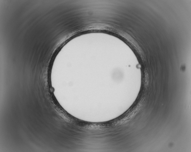 X0000116860834201001191700