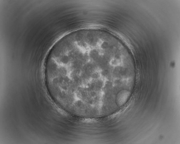 X0000116860835201001191700