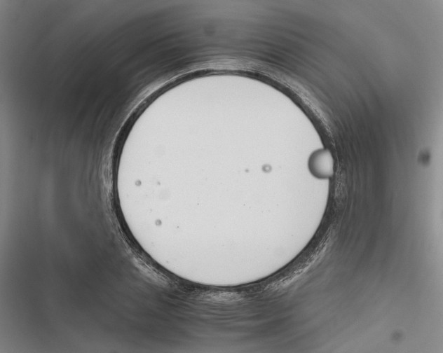 X0000116860837201001191700