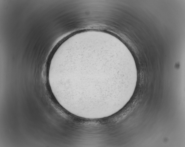 X0000116860838201001191700