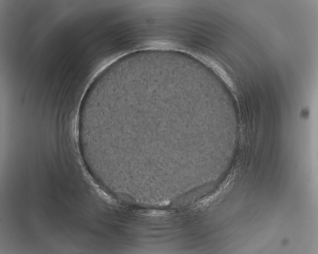 X0000116860839201001191700