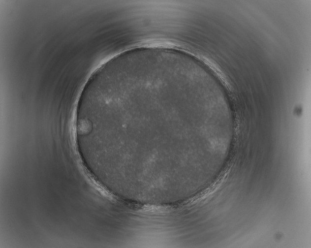 X0000116860840201001191700