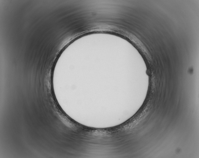 X0000116860842201001191700