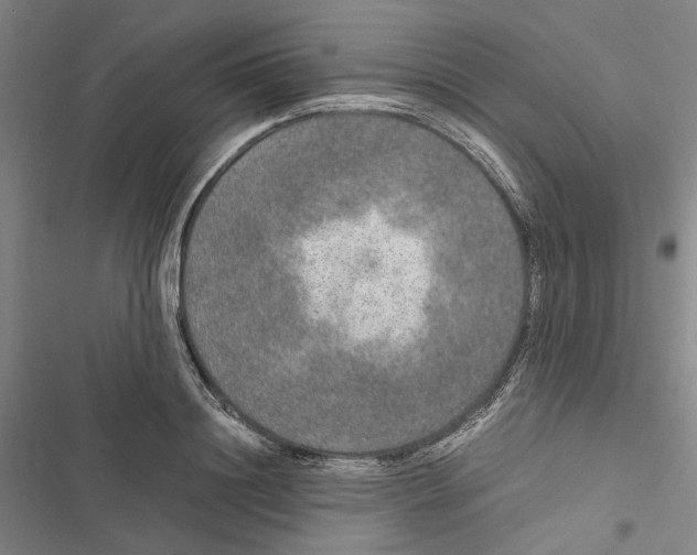 X0000116860844201001191700